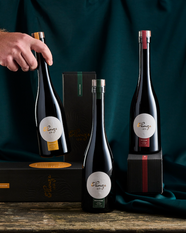 Tasting Collection | Extra Virgin Olive Oil 500ml | Ellouze 1870