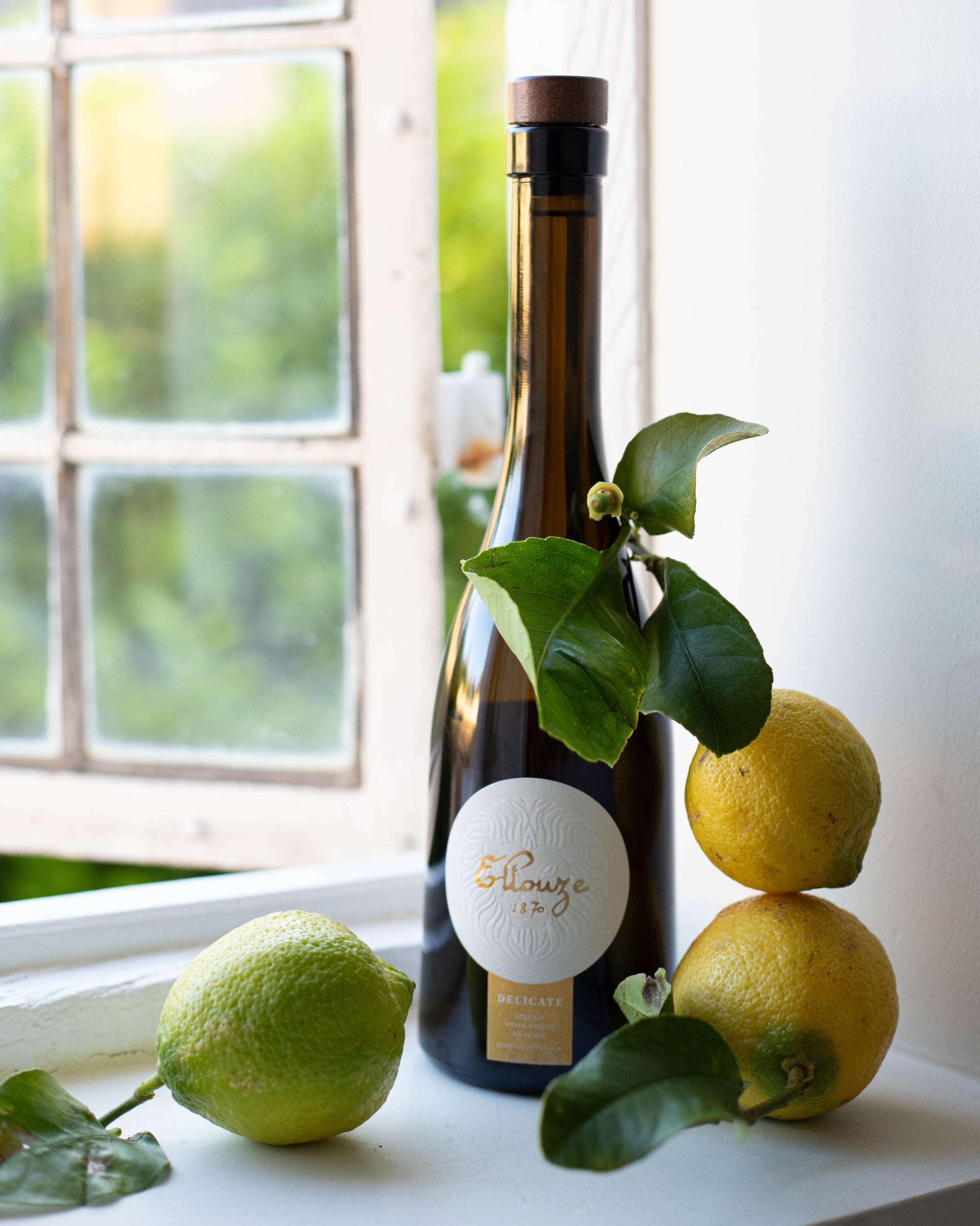 Delicate: Organic Extra Virgin Olive Oil 500ml | ELLOUZE 1870