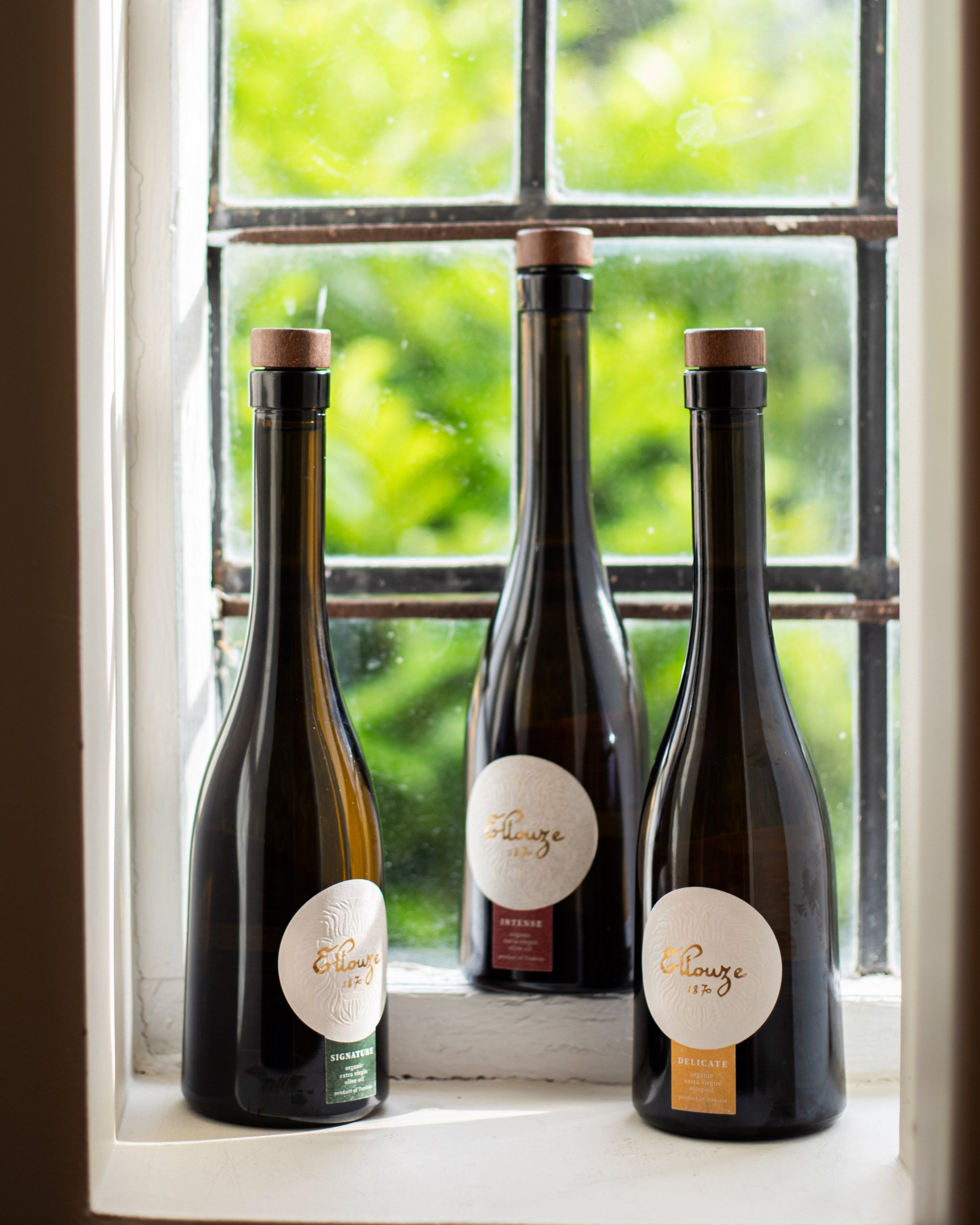 Tasting Collection | Extra Virgin Olive Oil  500ml | Ellouze 1870